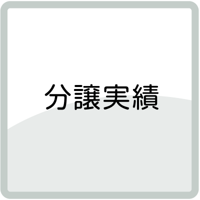 分譲実績
